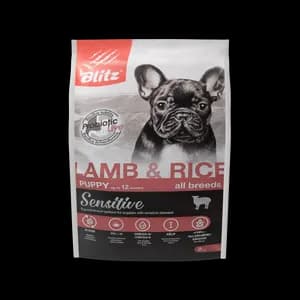 Dog Food thumbnail