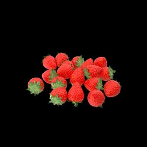 Strawberry thumbnail