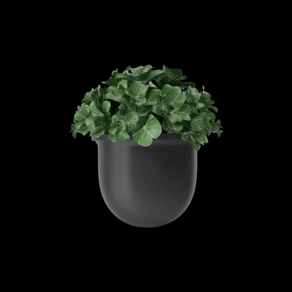 Plant Pot thumbnail