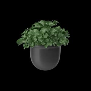 Plant Pot thumbnail